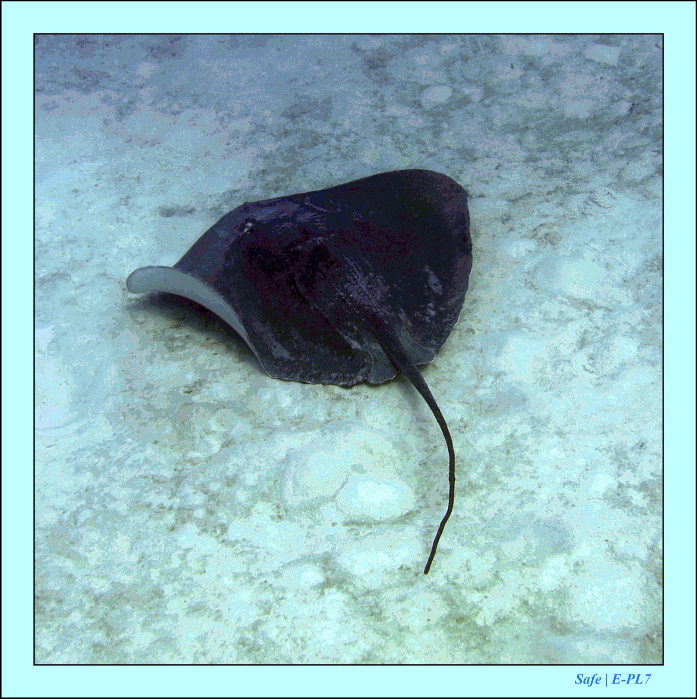 2023 - 07 - Sandies Bathala - 135